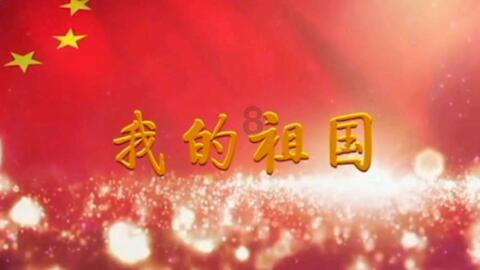 国产化信息系统集成和服务能力证书(LS）